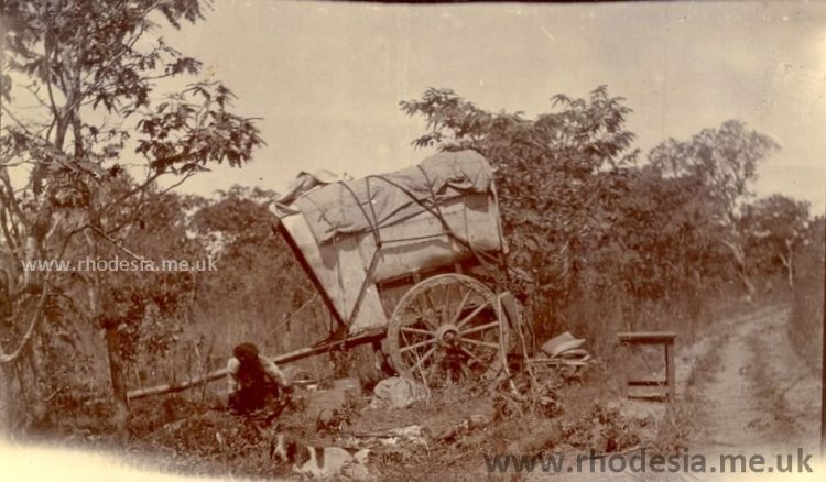A Cape Cart on the road to the Ayrshire Mine 1902