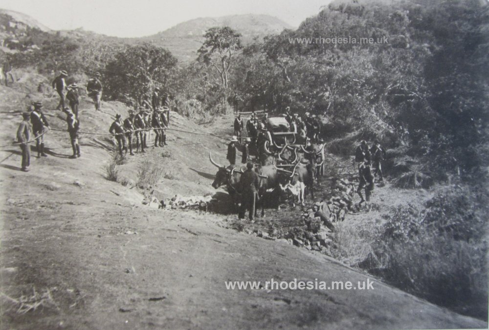 Oxen drawing gun carriage carrying Rhodes' coffin up the hill showing the specially constructed road