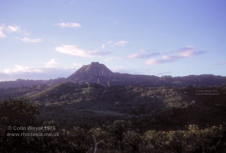 Leopard Rock, also known as Chinakwaremba, dominates the late afternoon skyline. Coffee bushes are growing in the foreground.