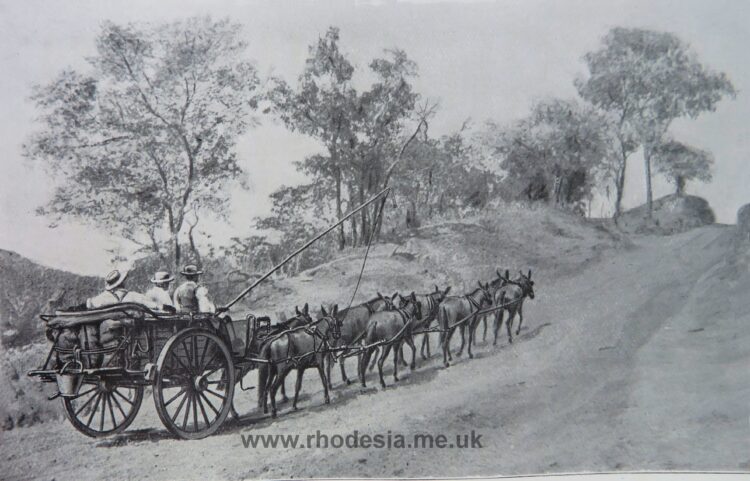 Cape Cart en route to Salisbury 1897
