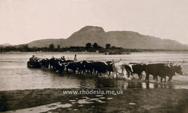 Crossing the Sabi River at Moodie's Drift in the late twenties before the advent of the Birchenough Bridge.