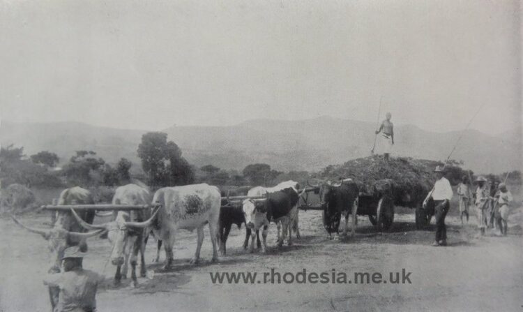 On the farm; a scene from the 1890s