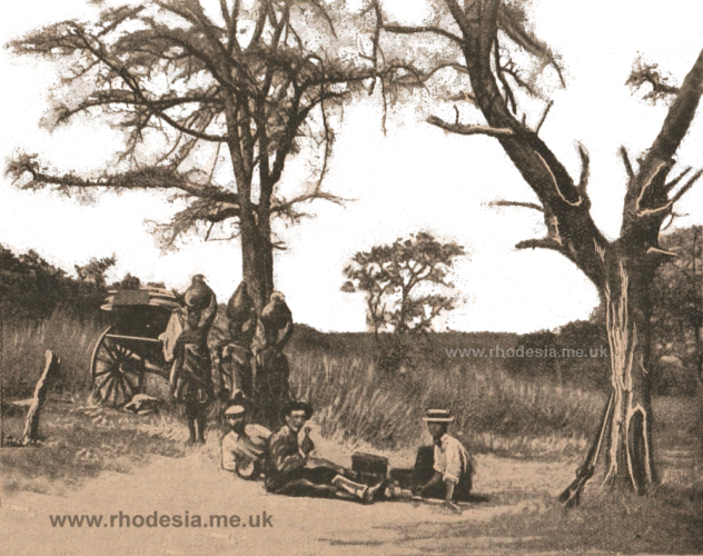 Picnicking in Mashonaland taken from the Umtali coach c 1898