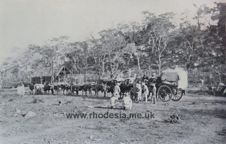 Pioneers leaving Hartley for a nearby gold-field c 1892