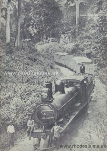Rhodesia Railways freight train halted in the Amatongas Forest between Beira and Umtali c 1900