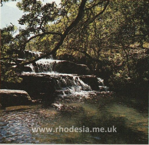 Streams flow through the lush woodland around Chipinga