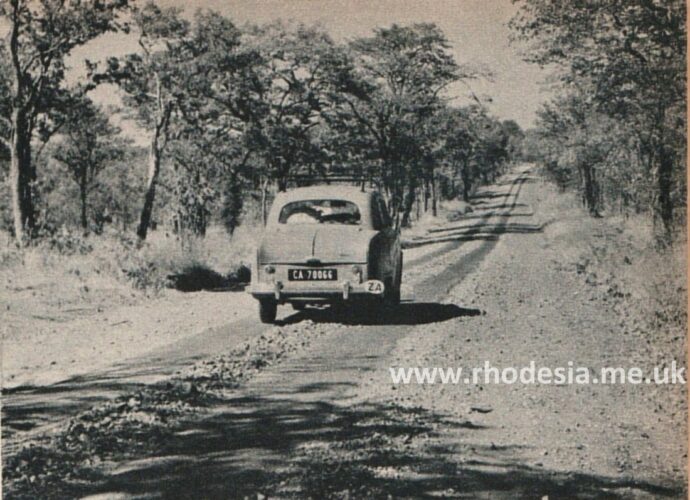 A strip road near Wankie on the main Bulawayo - Victoria Falls road c 1958.